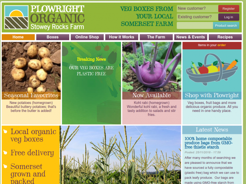 Screenshot of website